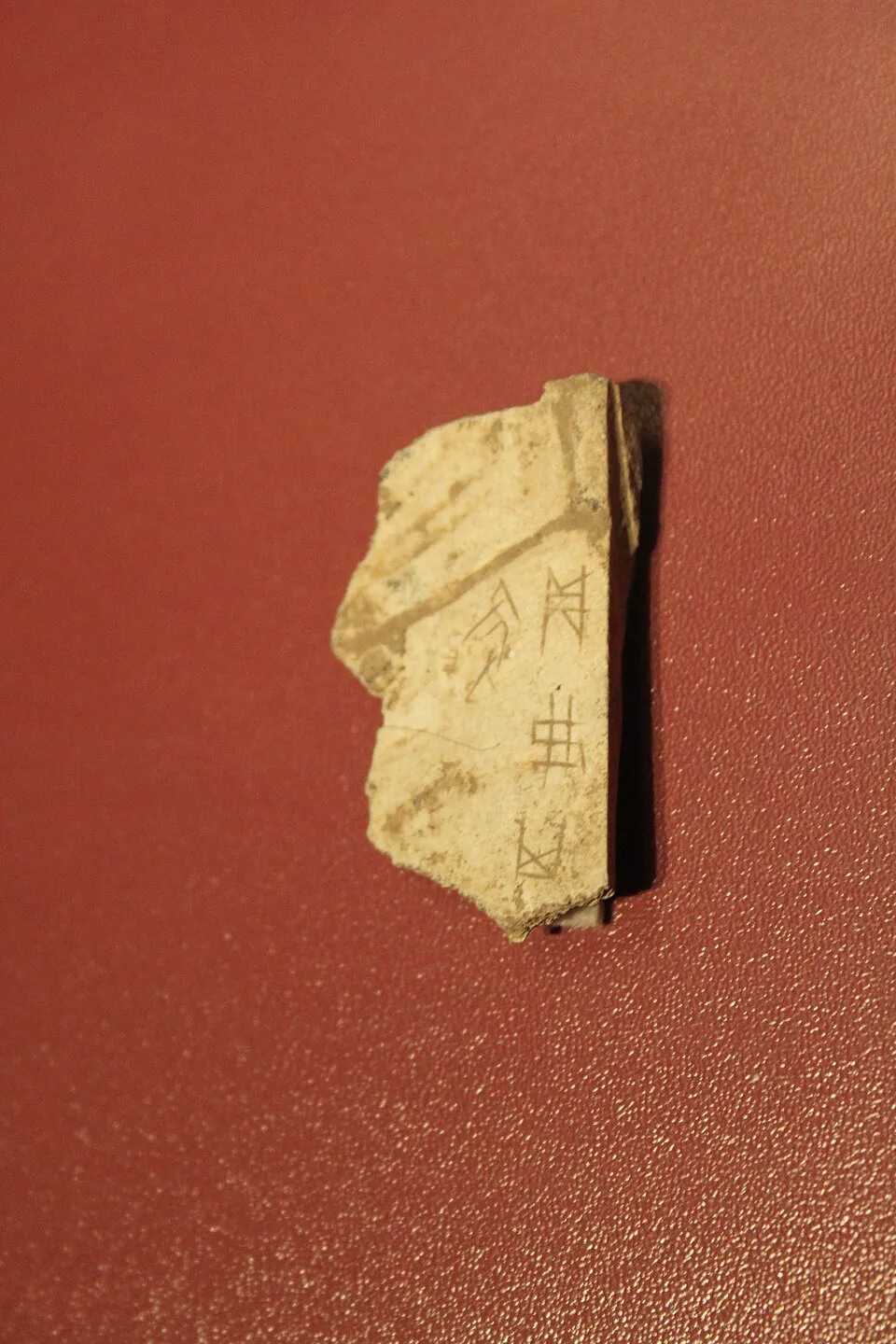 Shang dynasty oracle bone with inscribed characters